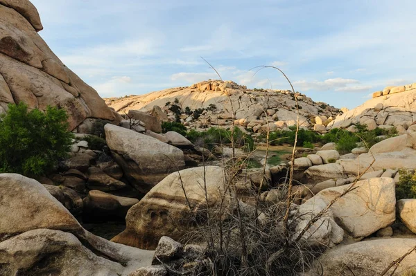 Joshua Tree Barker Dam obszar w pobliżu Sunset — Zdjęcie stockowe