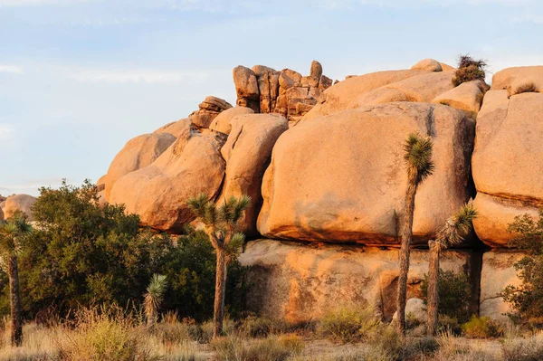 Joshua Tree Barker Barajı alan Sunset yakınında — Stok fotoğraf