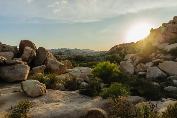 Joshua Tree Barker Dam Area near Sunset — Stock Photo, Image