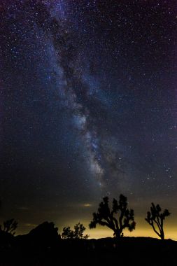 Samanyolu Joshua Tree National Park üzerinde