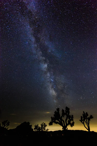银河系在约书亚树国家公园 — 图库照片