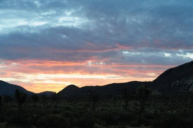 Sunrise Joshua Tree National Park üzerinde
