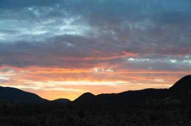 Sunrise Joshua Tree National Park üzerinde