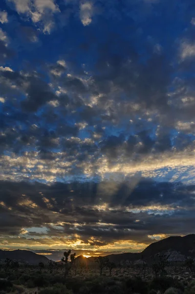 Sunrise Joshua Tree National Park üzerinde — Stok fotoğraf