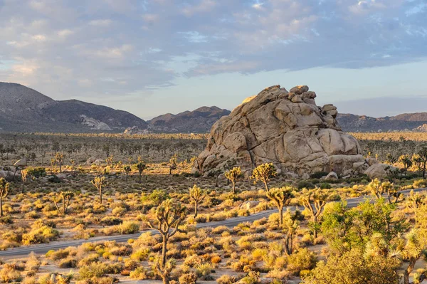 Sunrise Joshua Tree National Park üzerinde