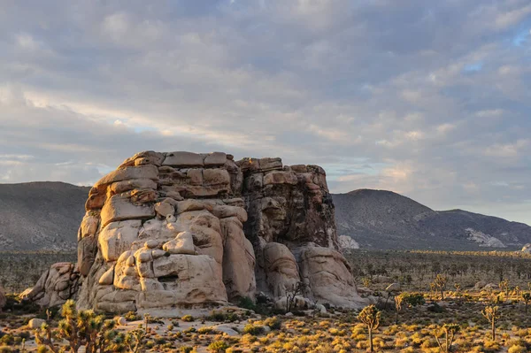 Lever de soleil sur le parc national Joshua Tree — Photo