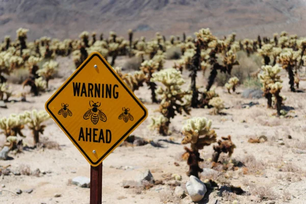 Bee Warning Sign — Stock Photo, Image