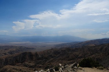 Anahtar sayısı Joshua Tree National Park içinde göz ardı