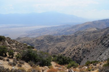 Anahtar sayısı Joshua Tree National Park içinde göz ardı