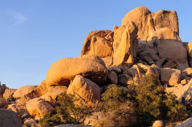 Gizli Vally alan Johua Tree National Park içinde