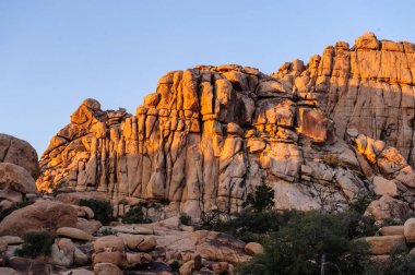 Gizli Vally alan Johua Tree National Park içinde