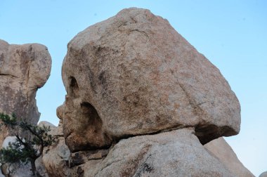 Gizli Vally alan Johua Tree National Park içinde