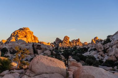 Sunrise Joshua Tree National Park üzerinde
