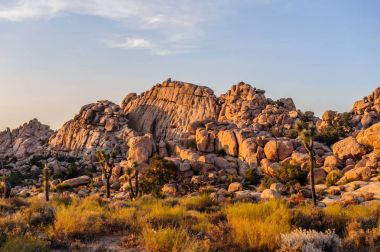 Gizli Vally alan Johua Tree National Park içinde