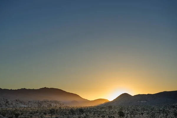 Wschód słońca nad Joshua Tree National Park — Zdjęcie stockowe