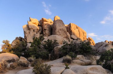 Gizli Vally alan Johua Tree National Park içinde
