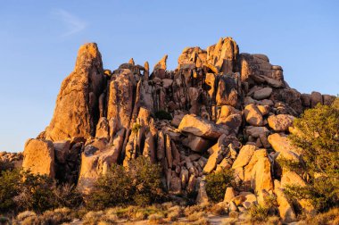 Gizli Vally alan Johua Tree National Park içinde