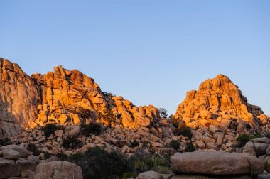 Gizli Vally alan Johua Tree National Park içinde