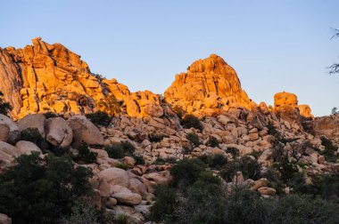 Gizli Vally alan Johua Tree National Park içinde