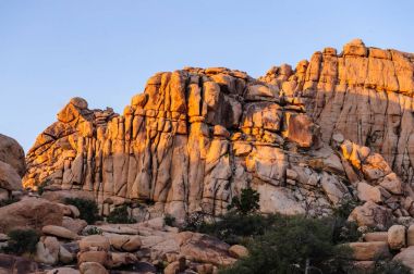 Gizli Vally alan Johua Tree National Park içinde