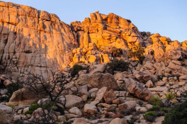 Gizli Vally alan Johua Tree National Park içinde