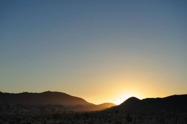 Sunrise Joshua Tree National Park üzerinde