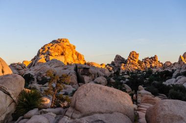 Sunrise Joshua Tree National Park üzerinde