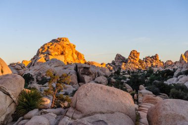 Sunrise Joshua Tree National Park üzerinde