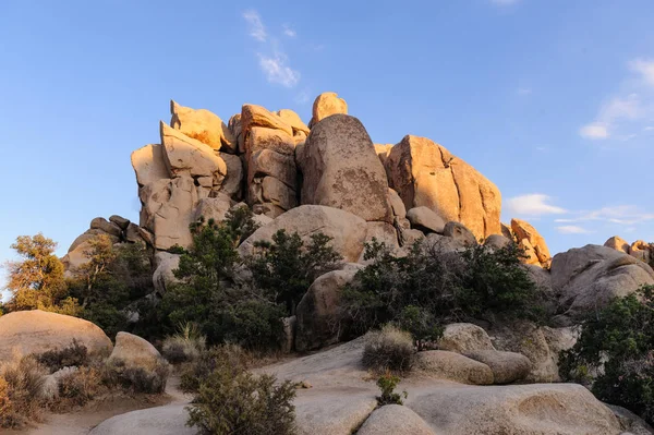 Gizli Vally alan Johua Tree National Park içinde
