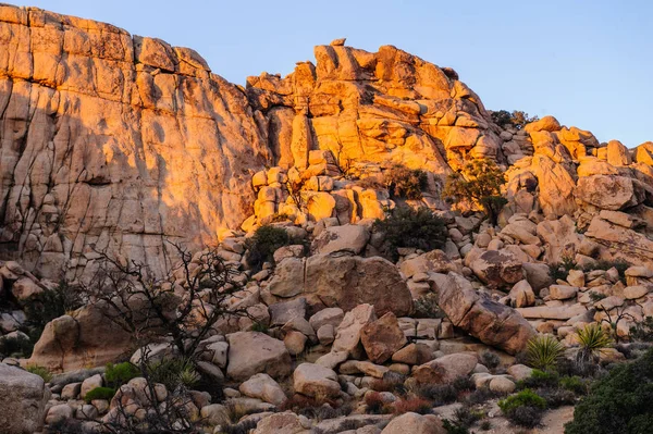 Gizli Vally alan Johua Tree National Park içinde