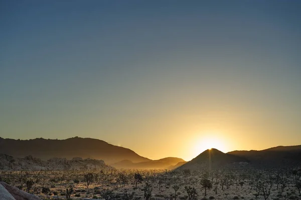 Salida del sol sobre el Parque Nacional Joshua Tree — Foto de Stock