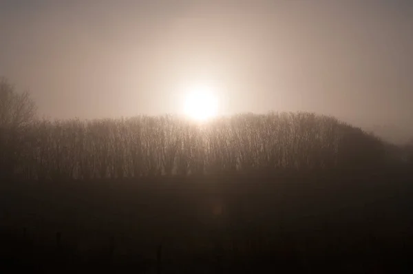 Ранний утренний туман в Восточной Фландрии — стоковое фото