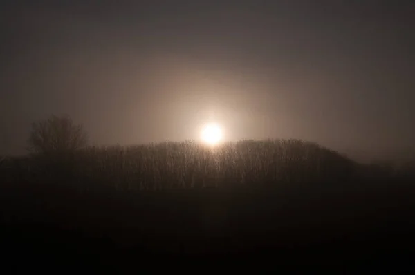 Frühmorgendlicher Nebel in Ostflandern — Stockfoto