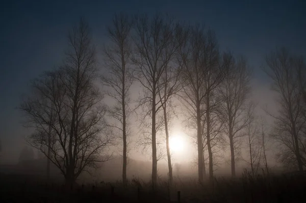 Early morning fog in East-Flanders — Stock Photo, Image