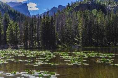 Su perisi Gölü, Colorado