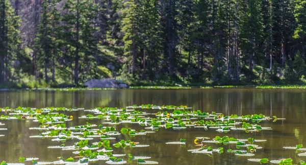 ニンフの大湖、コロラド州 — ストック写真