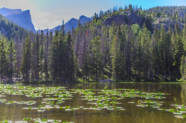 Su perisi Gölü, Colorado — Stok fotoğraf