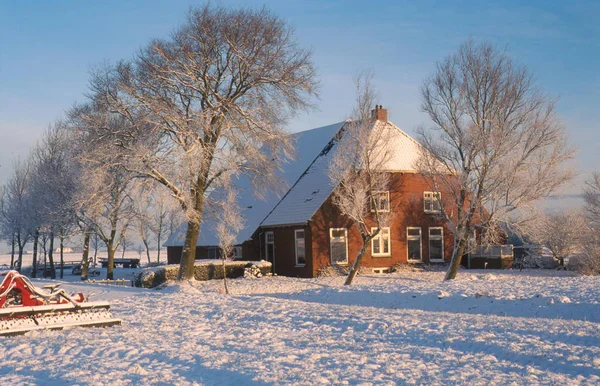 Традиційного голландського ферми в зимовий період — стокове фото