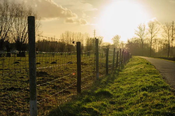 Late Afternoon in East Flanders — Stock Photo, Image