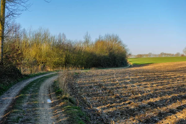 Flemisch Country Road — Foto de Stock