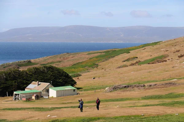 Огляд Країна Центральної Частини Острова Зрубу Фолклендські Острови Два Інших — стокове фото