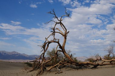 Kum tepeleri Ölüm Vadisi