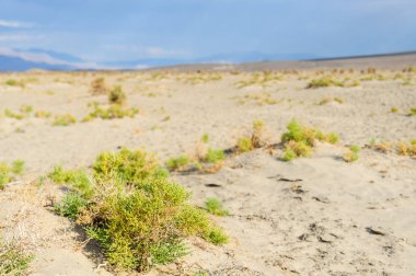 Ölüm Vallley manzara