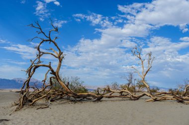 Kum tepeleri Ölüm Vadisi