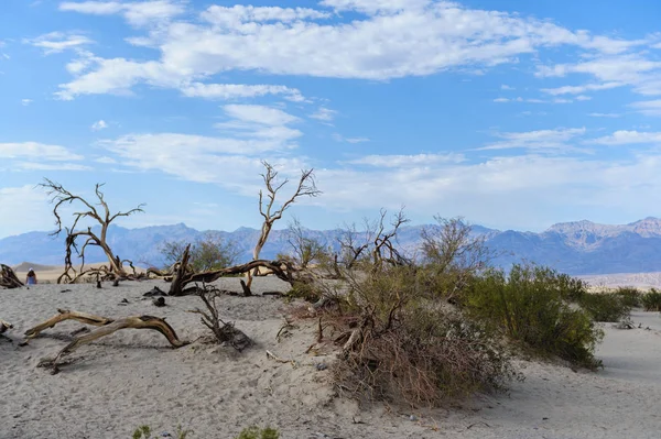 Las dunas de arena del Valle de la Muerte — Foto de Stock
