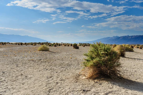 Muerte Vallley Paisaje — Foto de Stock