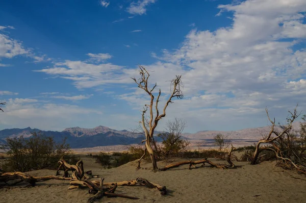 Las dunas de arena del Valle de la Muerte — Foto de Stock