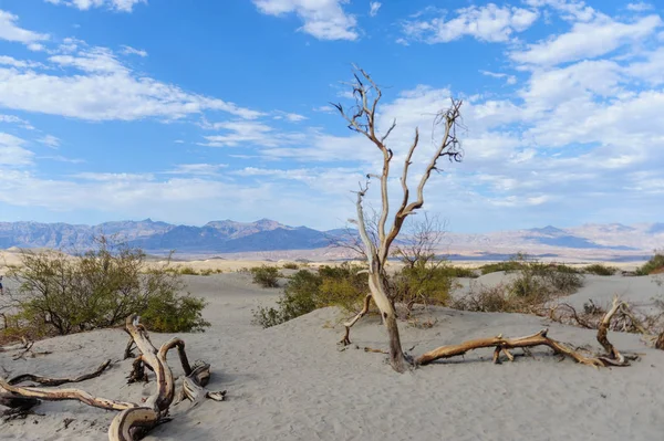 Sanddynerna i Death Valley — Stockfoto