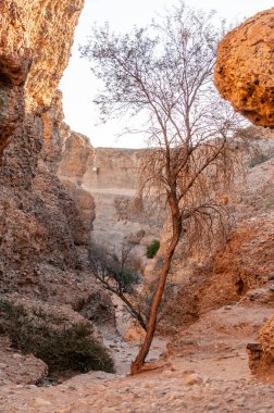 Gün batımında Sesriem kanyonu