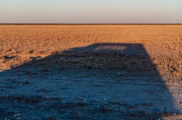 Schatten eines Safari-Lastwagens — Stockfoto